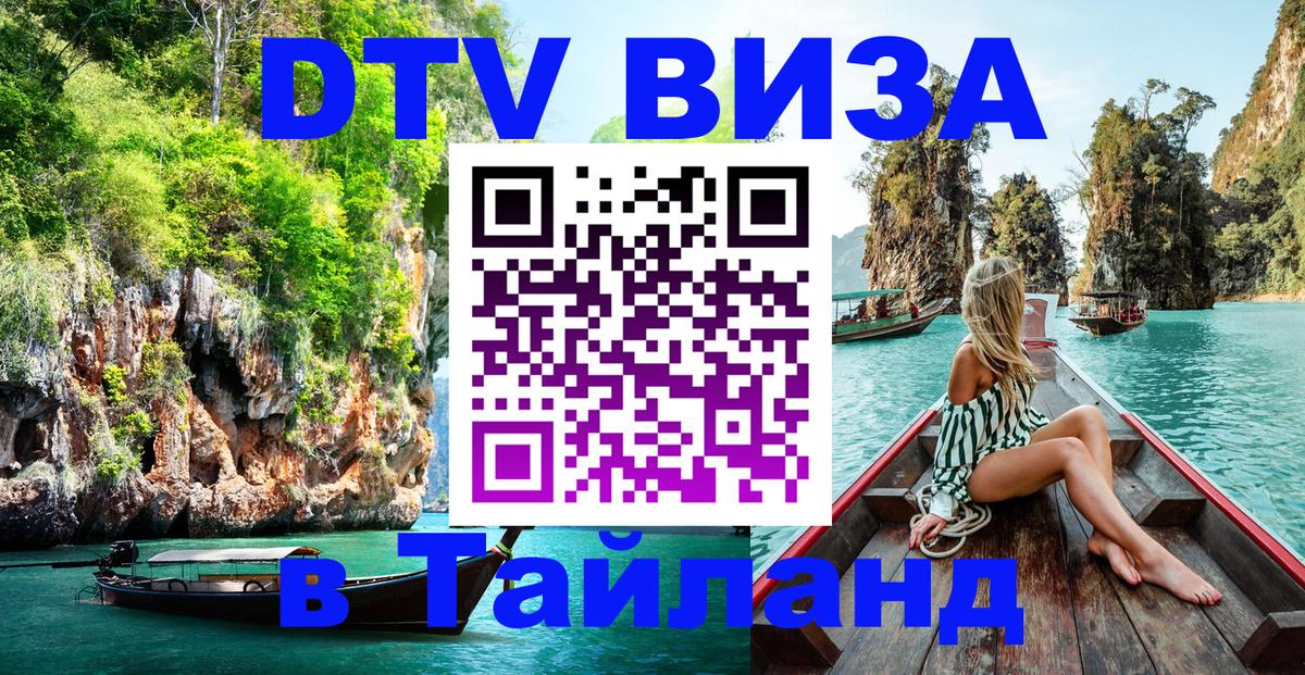 Оформление DTV визы под ключ: стоимость и тарифы, только загранпаспорт - Мурино 